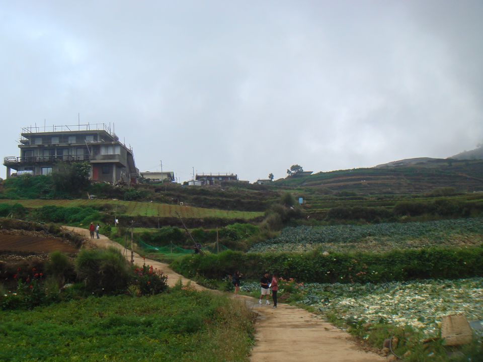 The leftmost building was where we’d be staying. The smaller ones next to it were also a part of the homestay.