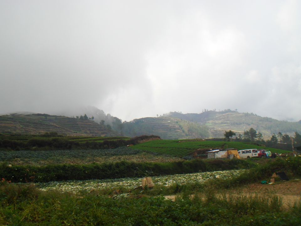 The gray cumulus clouds were ominous.