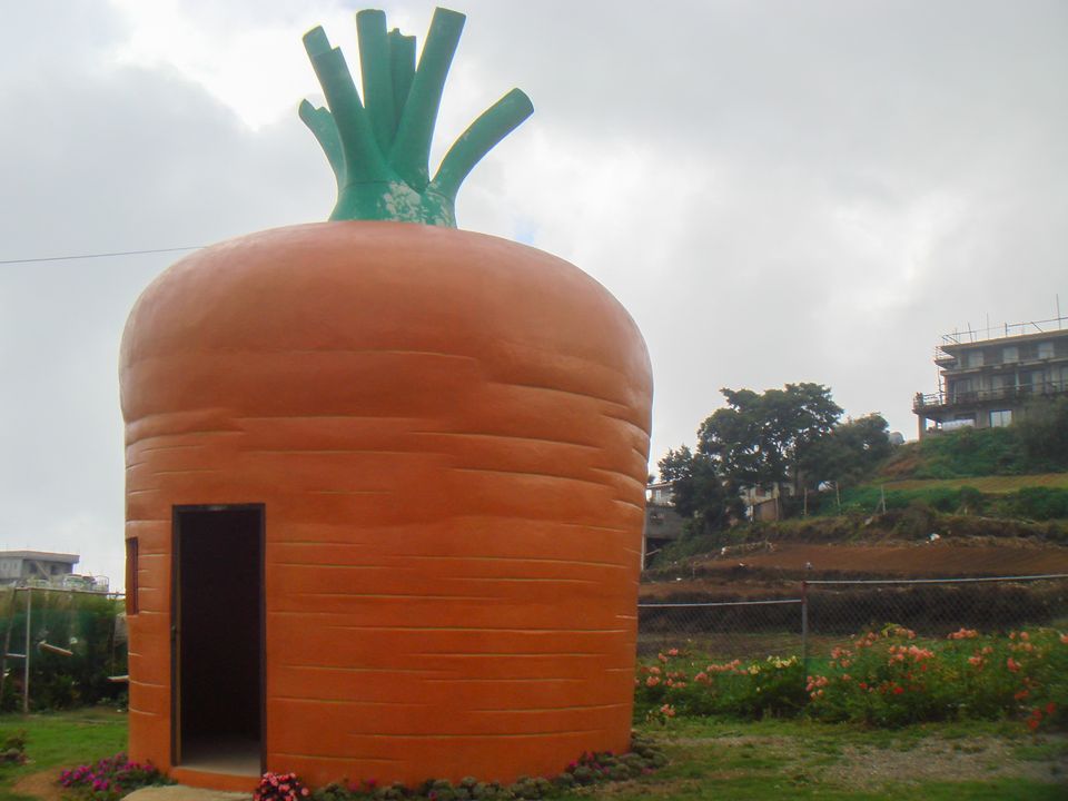 One of the view deck’s odd buildings. I was too busy admiring the scenery and snapping photos to take a peek inside.