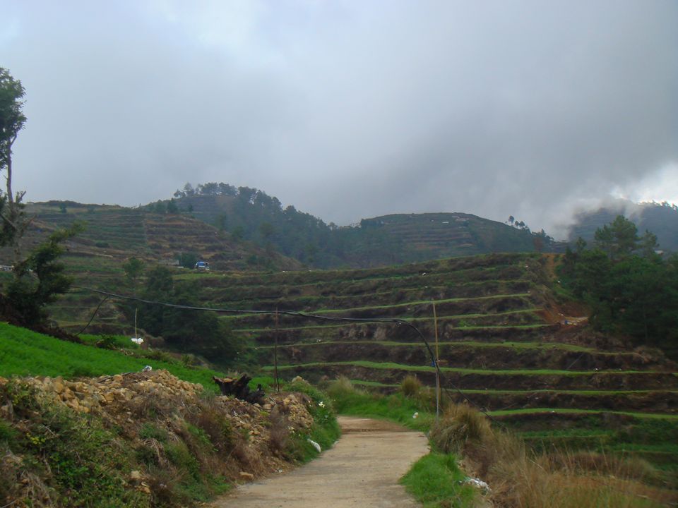 The small road right outside the farms.