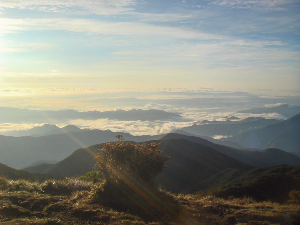 I learned that there were so many wild berries in Pulag!