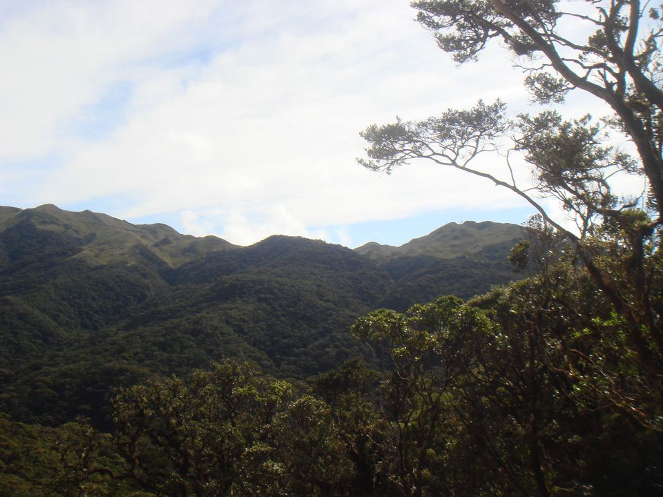 More views as we descended Pulag.