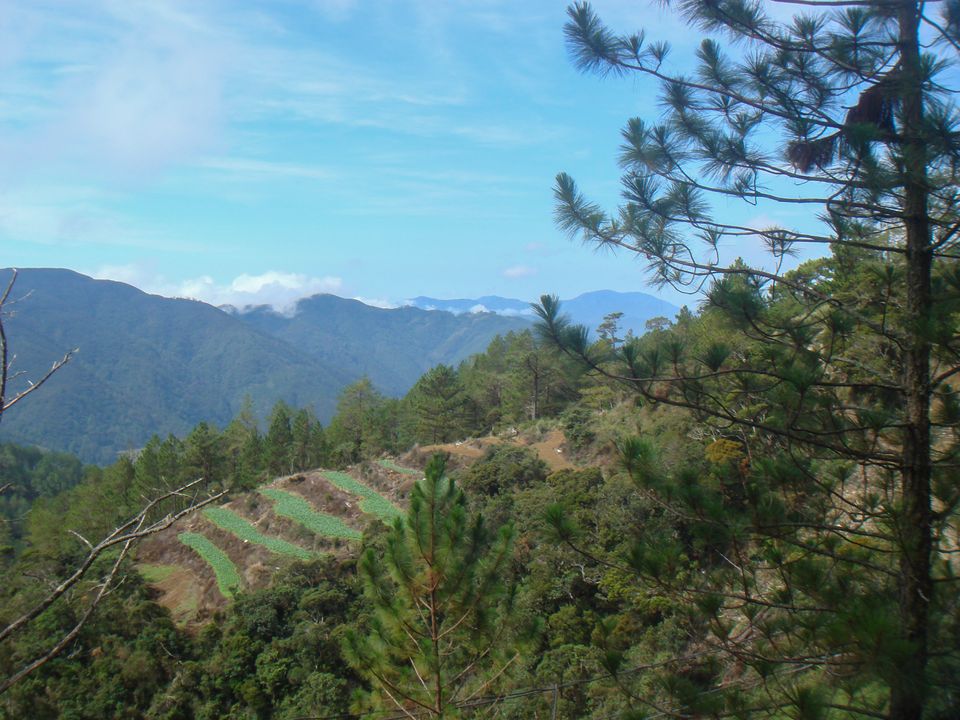 I loved seeing these little farms and rice terraces.