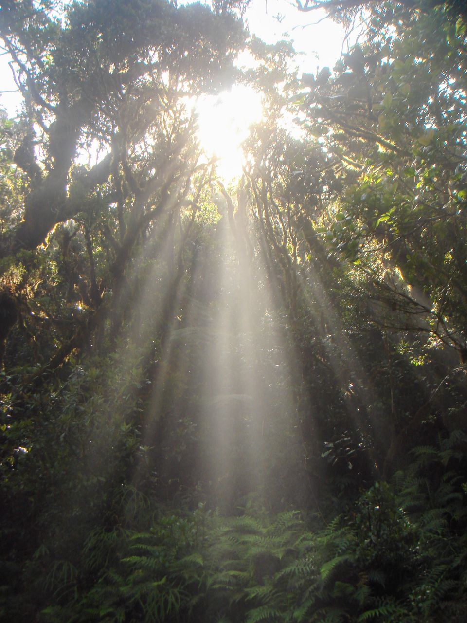 I’m not even religious, but is this what the entrance to heaven looks like?